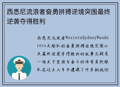 西悉尼流浪者奋勇拼搏逆境突围最终逆袭夺得胜利 西悉尼流浪者奋勇拼搏逆境突围最终逆袭夺得胜利