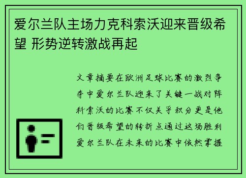 爱尔兰队主场力克科索沃迎来晋级希望 形势逆转激战再起 爱尔兰队主场力克科索沃迎来晋级希望 形势逆转激战再起