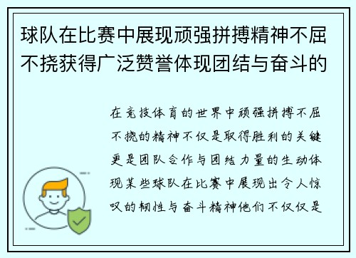 球队在比赛中展现顽强拼搏精神不屈不挠获得广泛赞誉体现团结与奋斗的力量